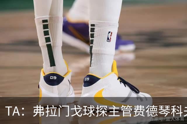 TA：弗拉门戈球探主管费德琴科夫预计年底加入利物浦引援团队